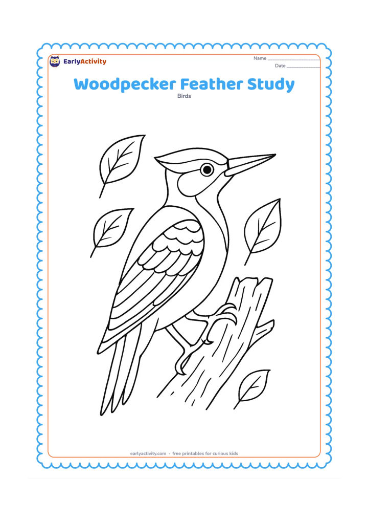 Colouring page: A large side-view woodpecker fills most of the page, showing its pointed beak, eye, wing pattern, claws and stiff tail feathers. Surround it with a few separated leaves and a short…