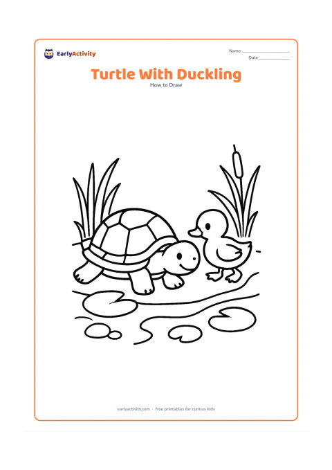 Worksheet: Draw a pond turtle and a small duckling travelling together along a pond edge, with the turtle in front and the duckling following. Add lotus leaves, reeds, stones and a curved bank.