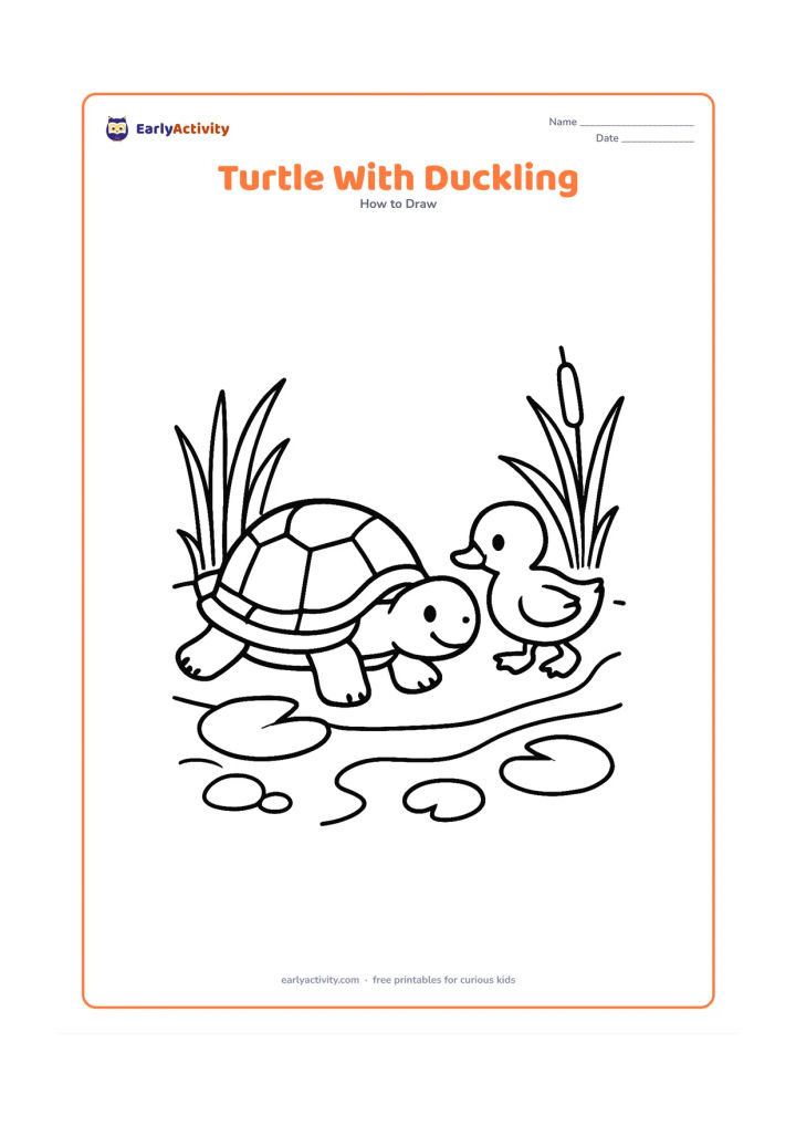 Worksheet: Draw a pond turtle and a small duckling travelling together along a pond edge, with the turtle in front and the duckling following. Add lotus leaves, reeds, stones and a curved bank.