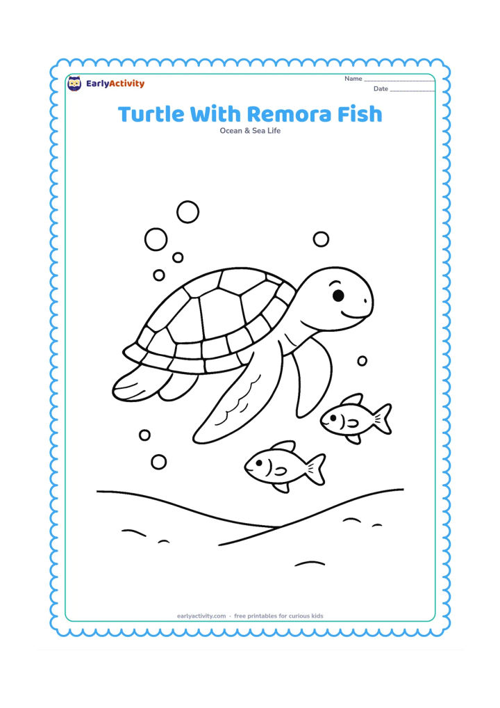 Colouring page: Draw a sea turtle gliding beside two small remora fish, with shell sections, flipper details, bubbles, and a gently sloping seabed.