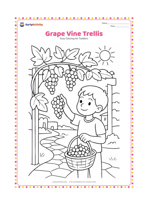 Colouring page: Draw a grapevine growing over a simple trellis, with several hanging bunches and large leaves. Include a child placing grapes into a basket, a garden path and a sunny courtyard beyond.
