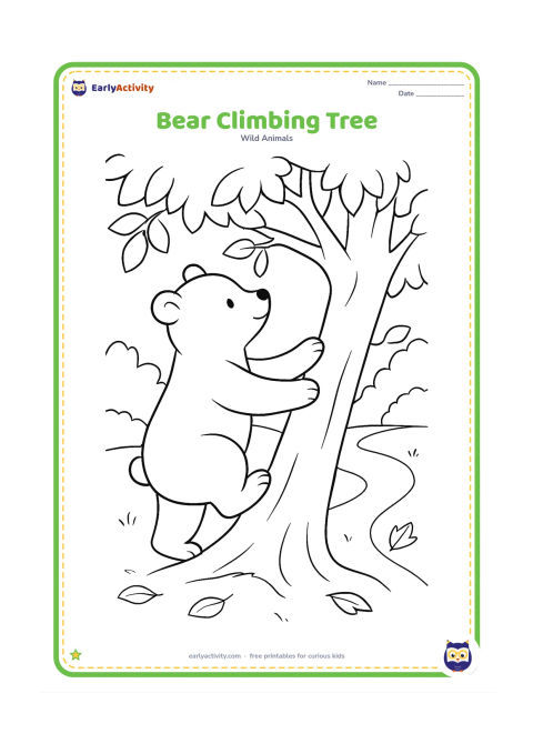 Colouring page: A bear climbs the trunk of a broad tree toward a low branch, with leafy branches, a woodland path, and several fallen leaves.