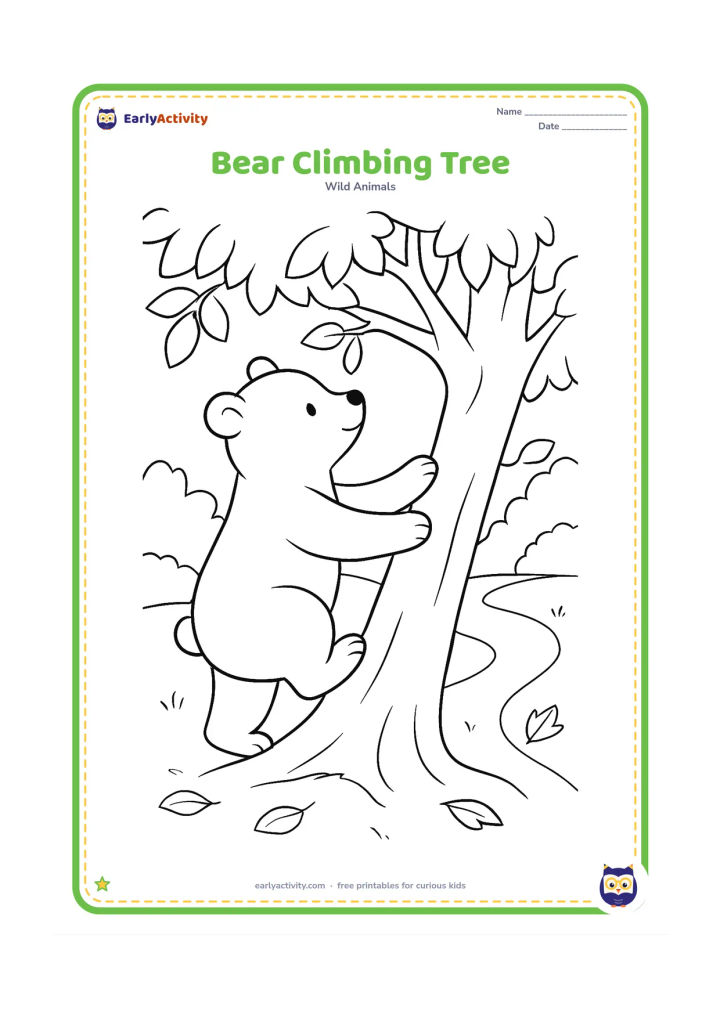 Colouring page: A bear climbs the trunk of a broad tree toward a low branch, with leafy branches, a woodland path, and several fallen leaves.