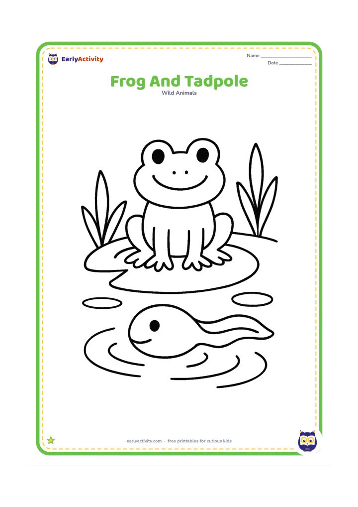 Colouring page: Draw a friendly frog resting on a wide lily pad beside one large tadpole swimming in the pond. Add two simple water plants and a few round ripples.
