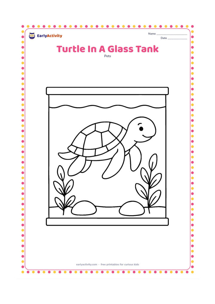 Colouring page: A pet turtle swims inside a rectangular home tank with a visible water line, two rounded stones and two leafy aquatic plants. Show the tank from the front.