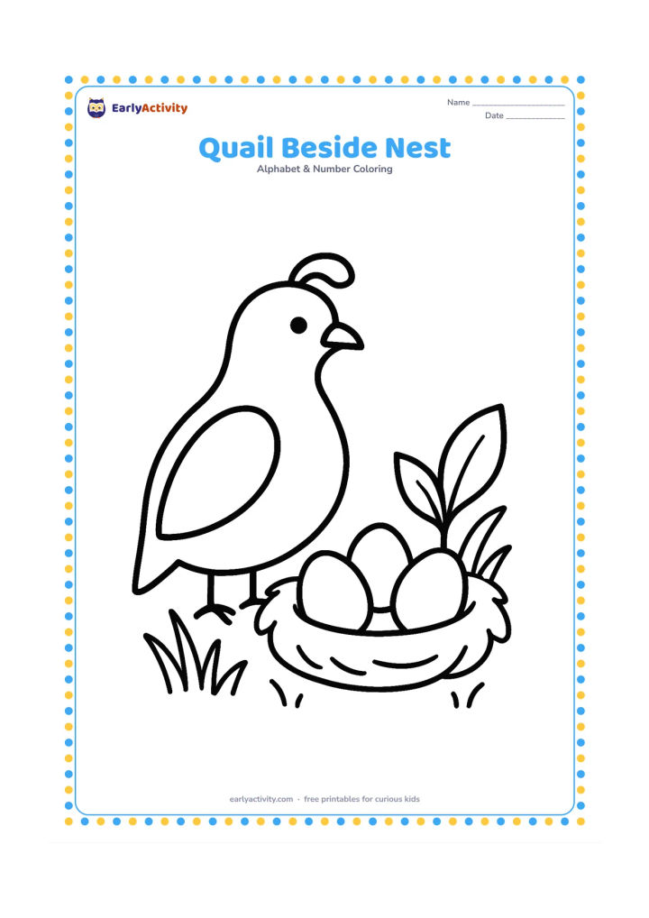 Colouring page: A quail stands beside a small nest containing three plain eggs. Add a few blades of grass and one broad leafy plant around the nest.
