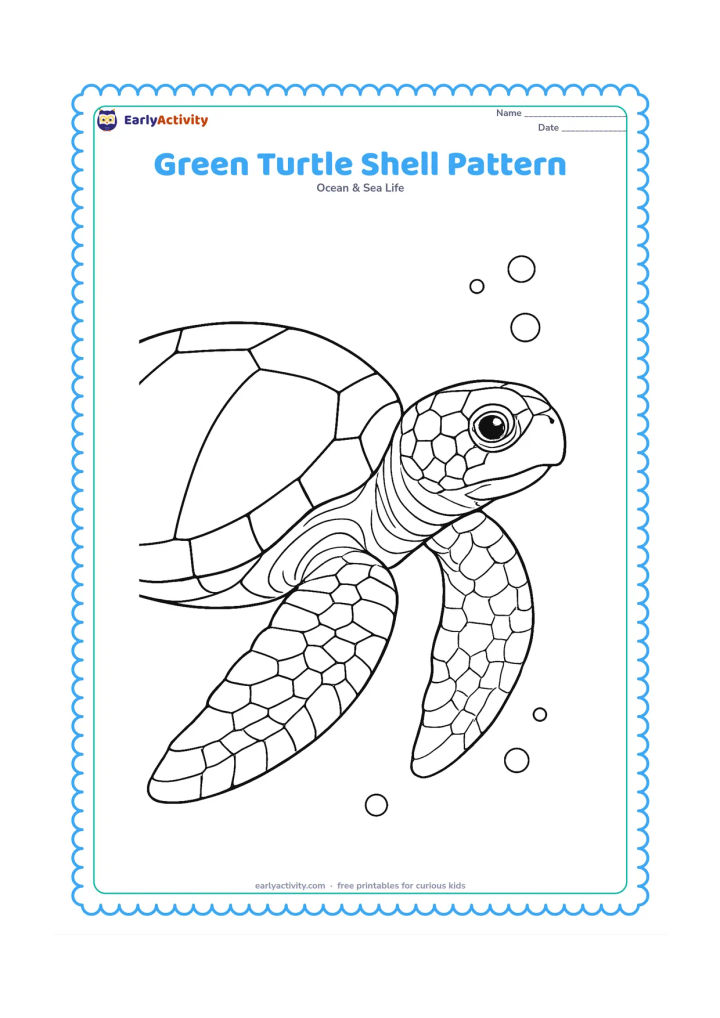 Colouring page: Draw a close-up side view of a sea turtle with a large shell divided into many natural plates, detailed scales on the head, textured flippers, and small bubbles.