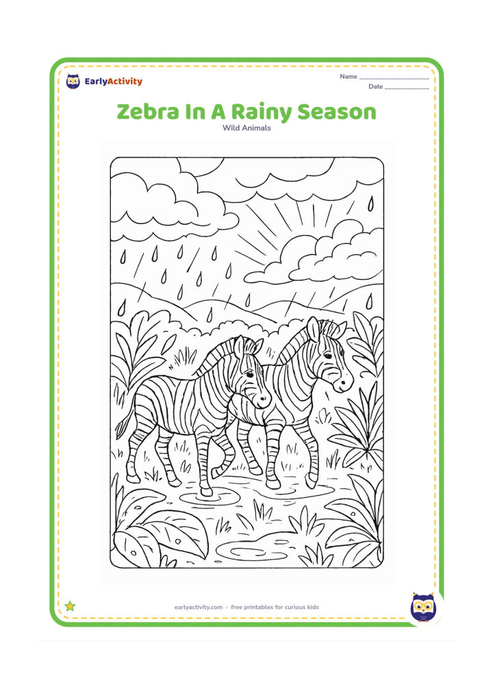 Colouring page: Draw two zebras walking through lush rain-season grass after a shower, with one stepping through a shallow puddle. Add broad-leaved plants, raindrops on leaves, small puddles, dark…