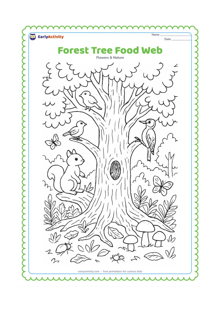 Colouring page: Draw a mature forest tree with birds, a squirrel, a woodpecker, butterflies, beetles, and mushrooms around its trunk and roots. Add layered woodland plants, fallen leaves, a hollow in…