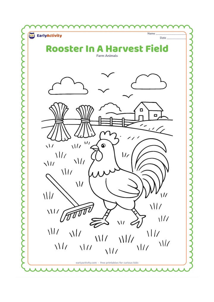 Colouring page: Draw a rooster strutting through a harvested field with bundled sheaves, a wooden rake and a distant farmhouse. Show rows of stubble, a fence and birds in the sky as simple silhouettes.