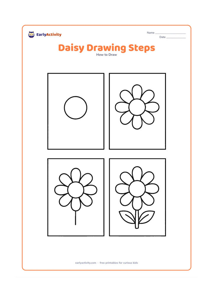 Worksheet: Show four large unnumbered panels progressing from a centre circle to a flower with petals, then a stem and leaves, and finally a complete daisy. Arrange the panels in a clear…