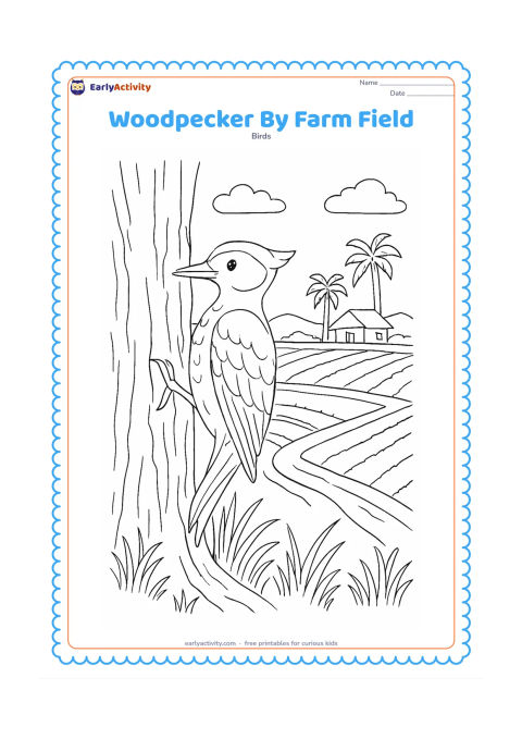 Colouring page: A woodpecker rests on a tree beside an Indian farm field, with crop rows, a simple irrigation channel, distant palms and a small rural hut. Add detailed bark and varied grasses.