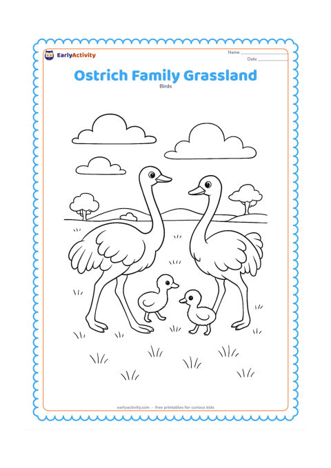 Colouring page: Two adult ostriches and two chicks move together across open grassland, with one adult looking back toward the chicks. Add distant trees, broad clouds and scattered grass.