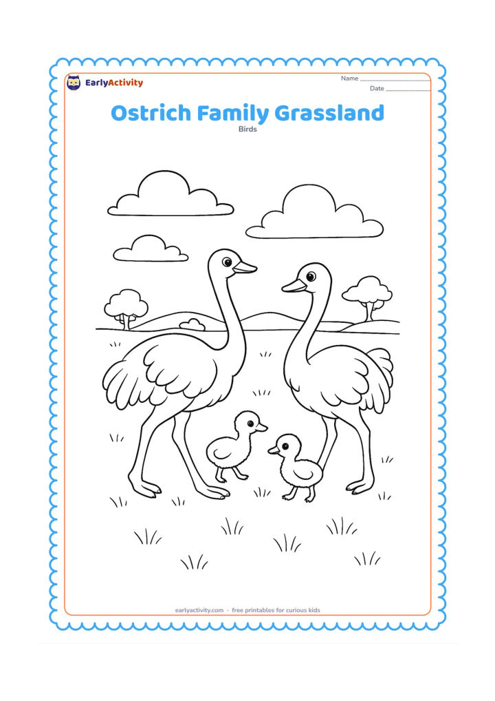 Colouring page: Two adult ostriches and two chicks move together across open grassland, with one adult looking back toward the chicks. Add distant trees, broad clouds and scattered grass.