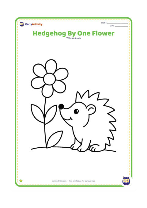 Colouring page: Draw a smiling hedgehog beside one large open flower, facing the flower with its nose raised. Add two broad leaves and a simple ground line.