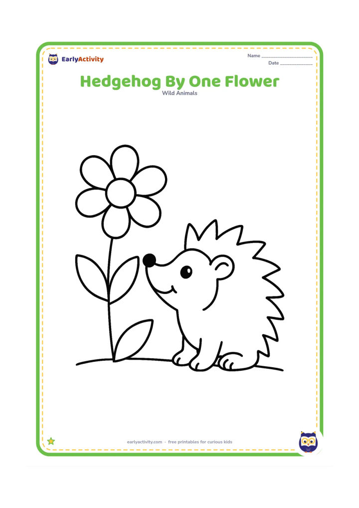 Colouring page: Draw a smiling hedgehog beside one large open flower, facing the flower with its nose raised. Add two broad leaves and a simple ground line.