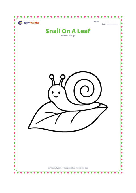 Colouring page: Draw one friendly snail crawling across a large broad leaf, with its shell fully visible and two feelers raised. Leave plenty of open space around the simple leaf and snail.