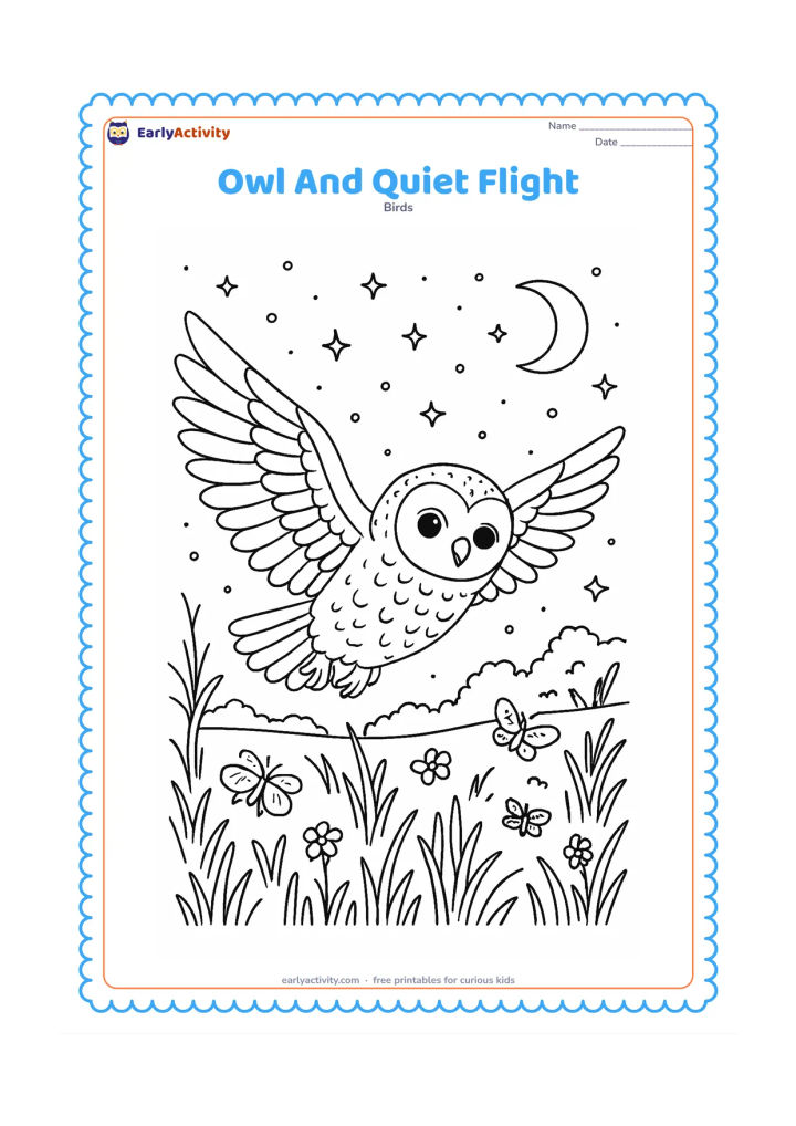 Colouring page: An owl flies low through a night meadow with wings extended, surrounded by grasses, moths, small flowers, distant bushes and a starry sky.