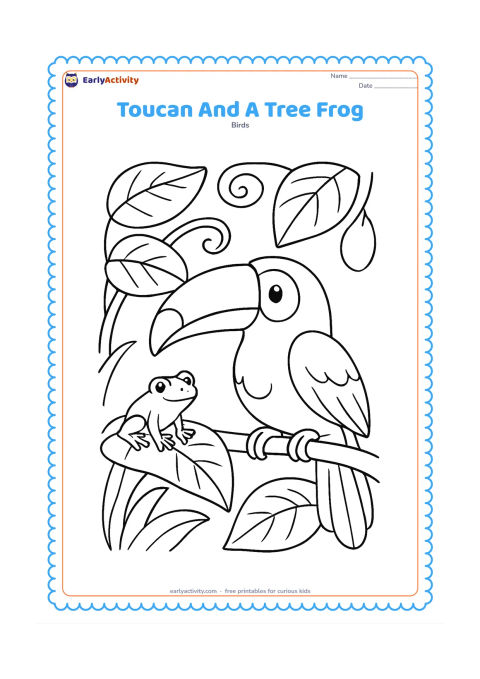 Colouring page: A toucan perches on a branch while a small friendly tree frog sits on a nearby leaf. Frame the pair with large leaves, a curling vine, and one hanging fruit.