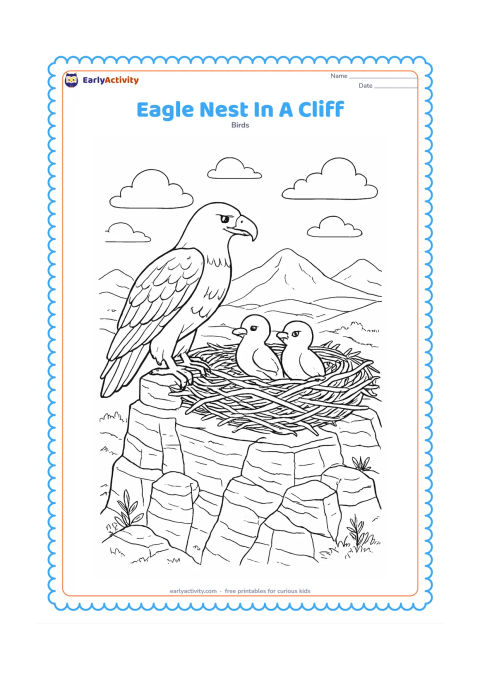 Colouring page: Draw an eagle perched beside a large nest built on a high rocky cliff, with two chicks inside. Add detailed rock layers, sparse cliff plants, a valley, distant mountains and circling clouds.