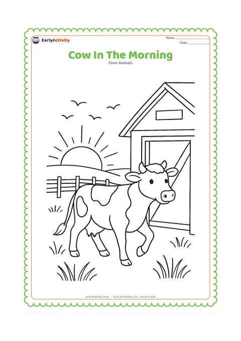 Colouring page: A cow walks out of a barn at sunrise, with a low sun, three birds in the sky, long grass, and a fence leading into the distance. Show the cow in a gentle side-step pose.