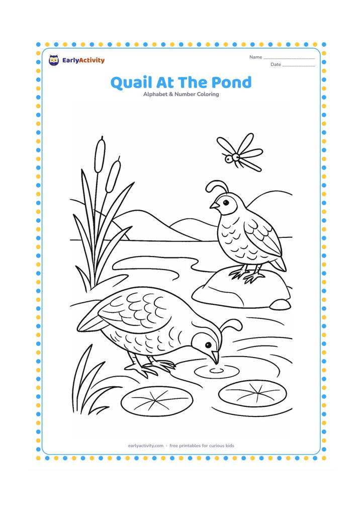 Colouring page: A quail drinks at the edge of a pond while another quail watches from a rock. Include lotus leaves, reeds, a dragonfly, and distant low hills.