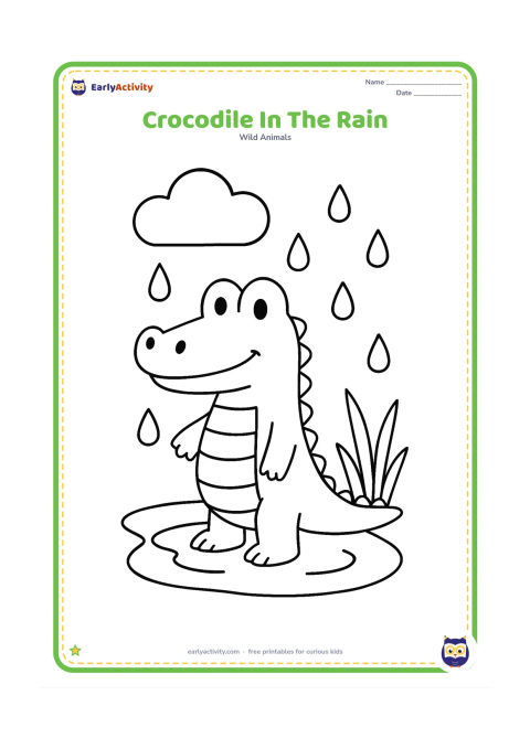 Colouring page: Draw a friendly crocodile standing in a shallow puddle during a gentle rain shower, with large raindrops, a simple cloud, and three broad reeds.