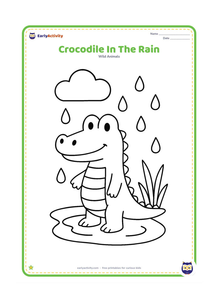 Colouring page: Draw a friendly crocodile standing in a shallow puddle during a gentle rain shower, with large raindrops, a simple cloud, and three broad reeds.