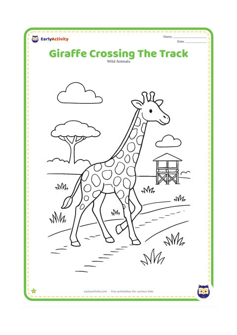 Colouring page: A giraffe walks across a dusty safari track with one leg raised. Show wheel tracks, grass on both sides, a wooden lookout platform in the distance and an acacia tree.