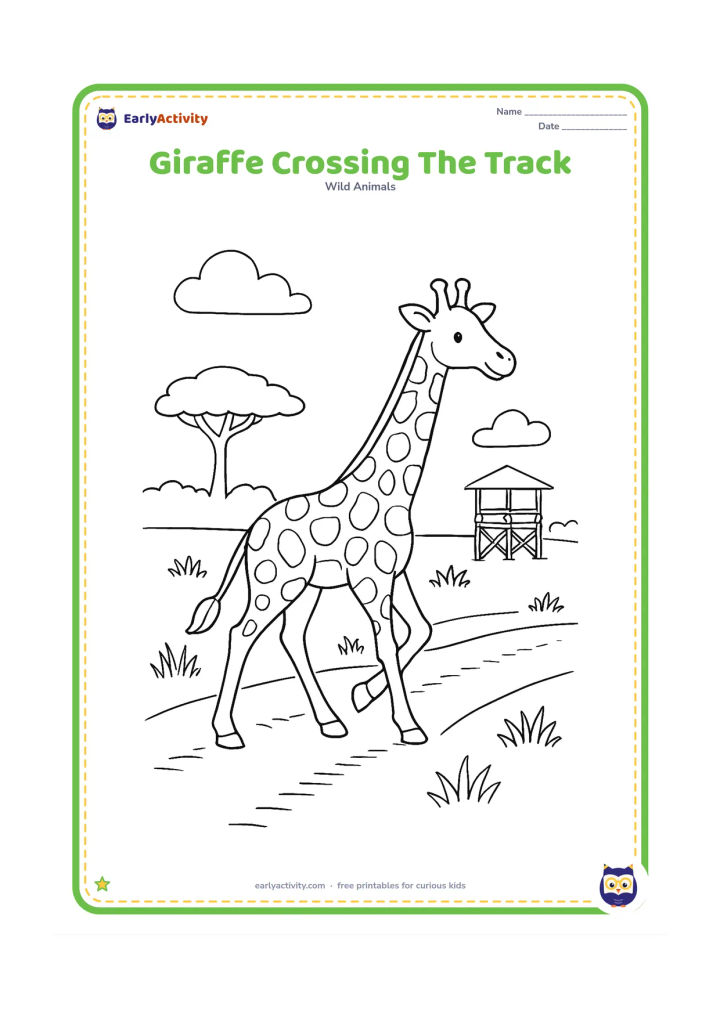 Colouring page: A giraffe walks across a dusty safari track with one leg raised. Show wheel tracks, grass on both sides, a wooden lookout platform in the distance and an acacia tree.