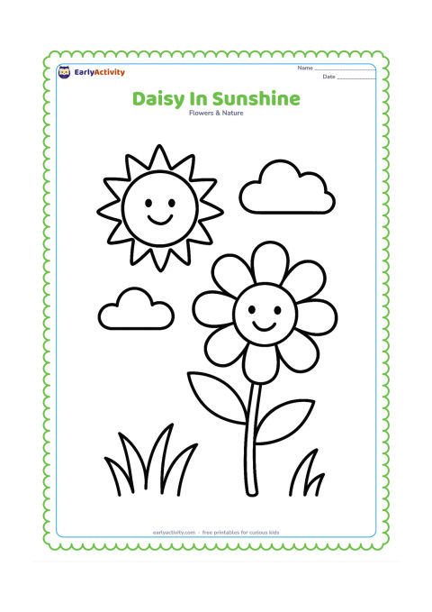 Colouring page: Draw a large daisy standing in a meadow beneath a smiling sun with broad rays and two soft clouds. Add a few wide blades of grass at the bottom.