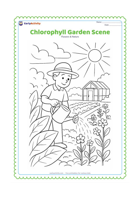 Colouring page: A detailed garden view shows sunlight falling on several living green leaves, with a gardener watering plants, flower beds, stems and a small greenhouse in the distance.