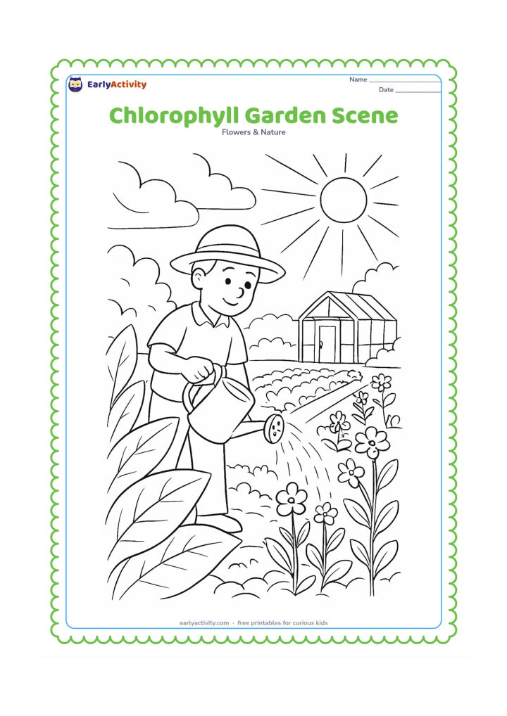 Colouring page: A detailed garden view shows sunlight falling on several living green leaves, with a gardener watering plants, flower beds, stems and a small greenhouse in the distance.