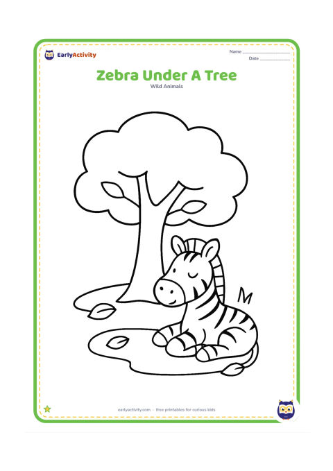 Colouring page: Draw one zebra resting beneath a single broad-canopied tree. Include a simple patch of shade, two fallen leaves and a few grass blades.