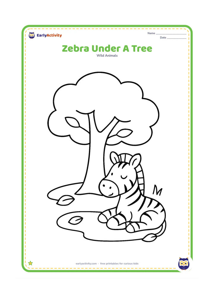 Colouring page: Draw one zebra resting beneath a single broad-canopied tree. Include a simple patch of shade, two fallen leaves and a few grass blades.