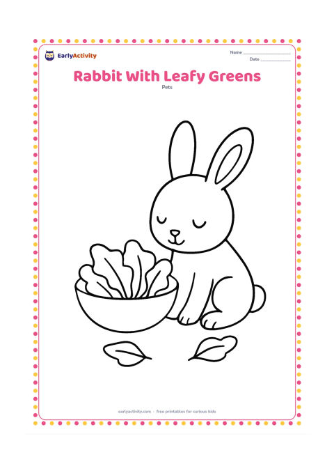 Colouring page: A friendly rabbit sits beside a shallow bowl filled with large leafy greens, looking down at the food. Include two simple leaves on the ground.