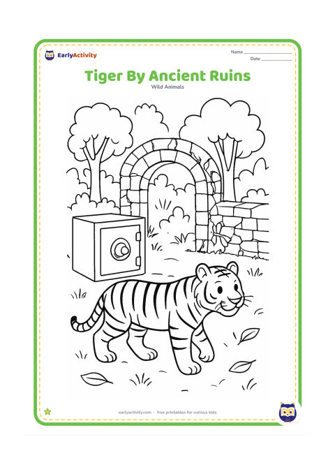 Colouring page: A tiger walks past a safe, open stone arch and low weathered walls partly covered with vines. Add forest trees, grass, and a few fallen leaves around the Indian ruin setting.