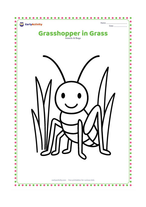 Colouring page: Draw a front-facing grasshopper standing among three or four tall blades of grass, with clear antennae, six legs, and a simple smiling expression.