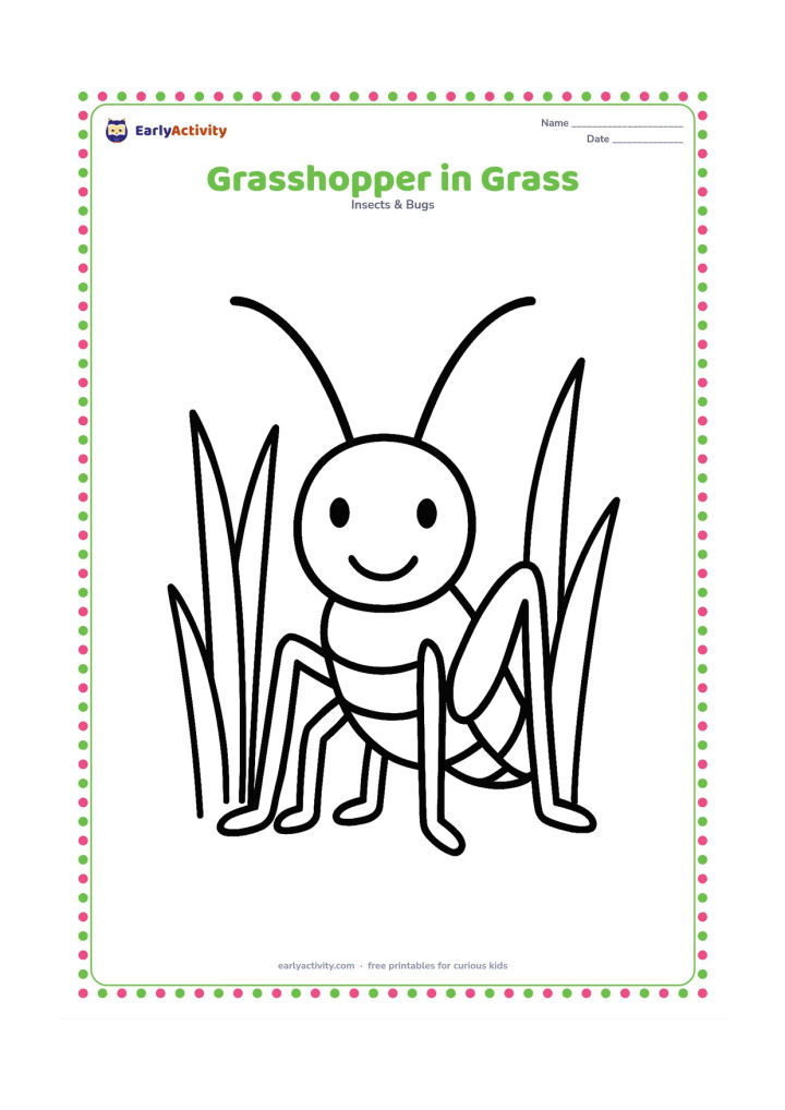 Colouring page: Draw a front-facing grasshopper standing among three or four tall blades of grass, with clear antennae, six legs, and a simple smiling expression.