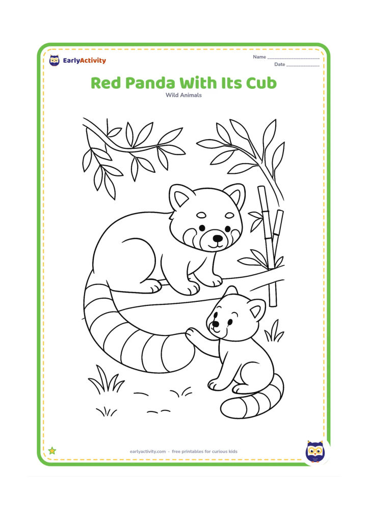 Colouring page: Draw an adult red panda resting on a low branch while a smaller cub sits beside it and touches the adult's tail. Add leafy branches, bamboo and a simple forest floor below.