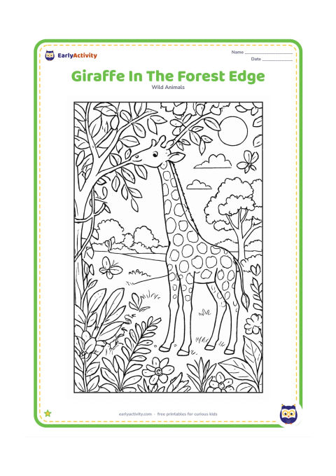Colouring page: A giraffe reaches into a leafy tree at the edge of a woodland. Include layered branches, vines, ferns, flowers, butterflies, a sunlit clearing and distant open grassland.