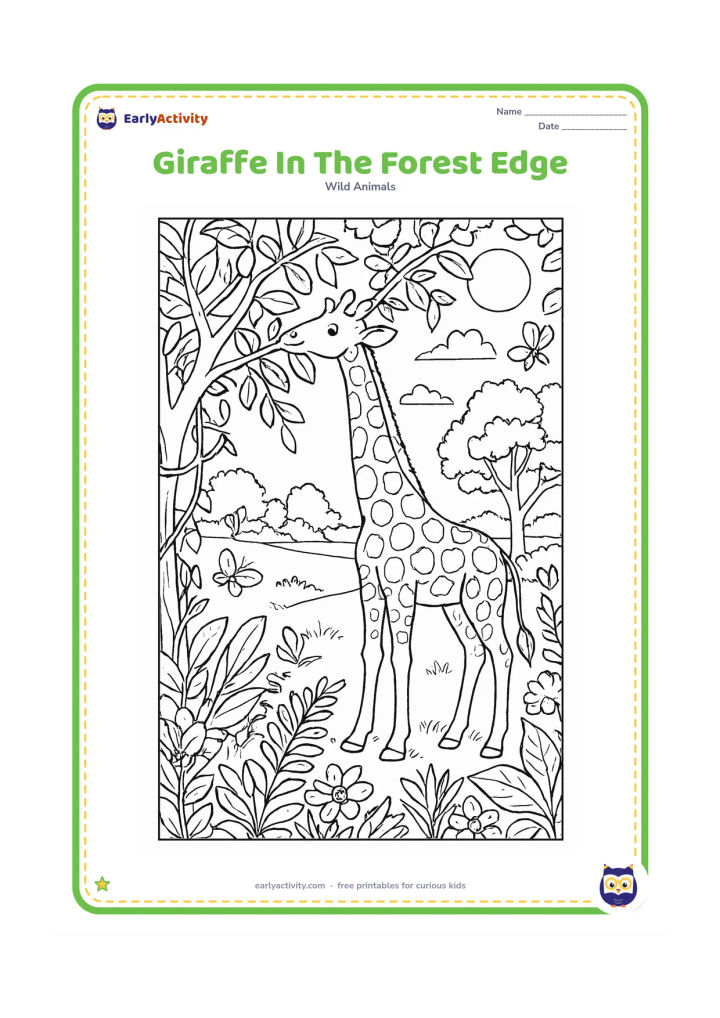 Colouring page: A giraffe reaches into a leafy tree at the edge of a woodland. Include layered branches, vines, ferns, flowers, butterflies, a sunlit clearing and distant open grassland.
