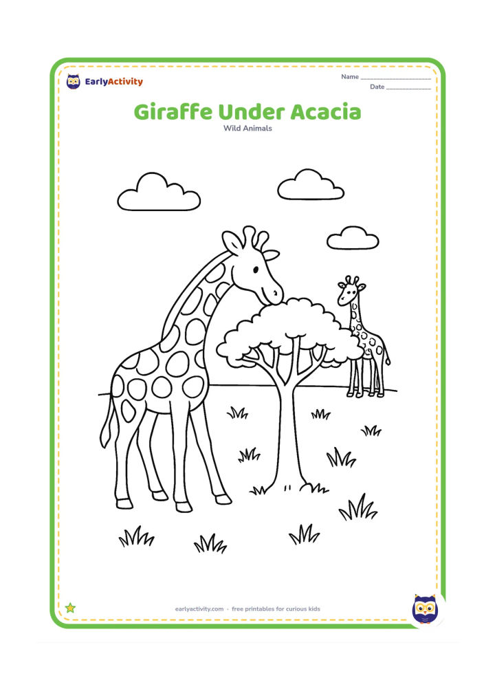 Colouring page: Draw a giraffe bending its neck to browse from an acacia tree. Include a second giraffe in the distance, scattered grass and a few small clouds.
