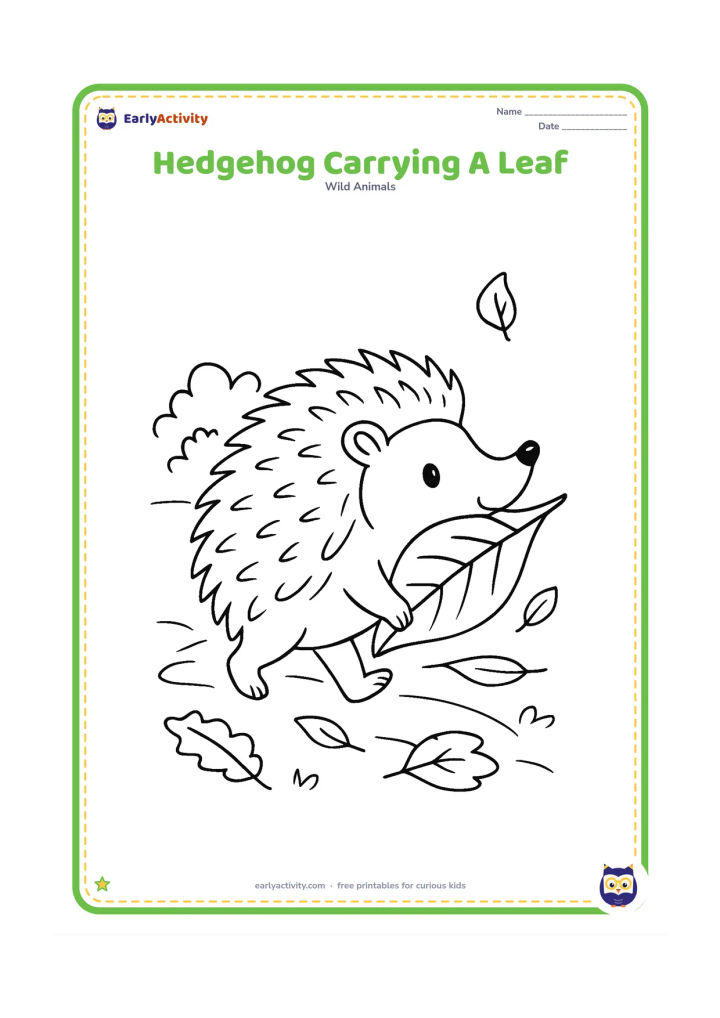 Colouring page: Draw a hedgehog walking while carrying a large leaf in its mouth. Add a leafy path, three scattered leaves and a low shrub in the background.