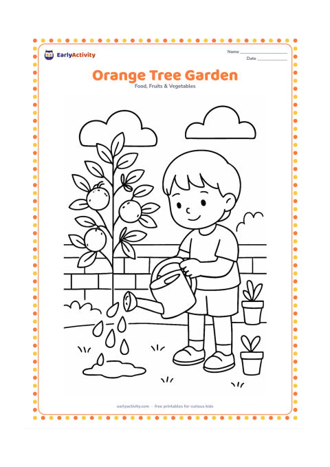 Colouring page: A child watering a small orange tree in a garden, with several oranges, a watering can, a low wall, and two potted plants.