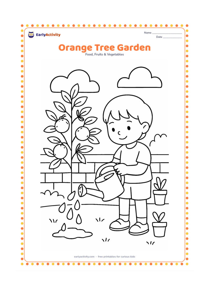 Colouring page: A child watering a small orange tree in a garden, with several oranges, a watering can, a low wall, and two potted plants.