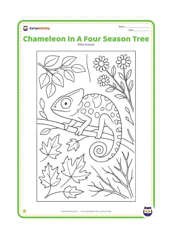 Colouring page: A chameleon crosses a central branch surrounded by four different areas of foliage: fresh spring leaves, summer flowers, autumn leaves and bare winter twigs. Include its curled tail and…
