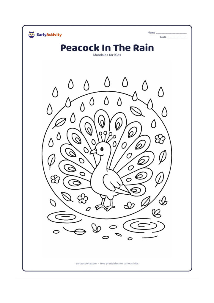Colouring page: A peacock stands with its tail partly opened beneath falling rain in a round mandala. Arrange repeated raindrops, curved feathers, puddle ripples, leaves and small flowers around the bird.