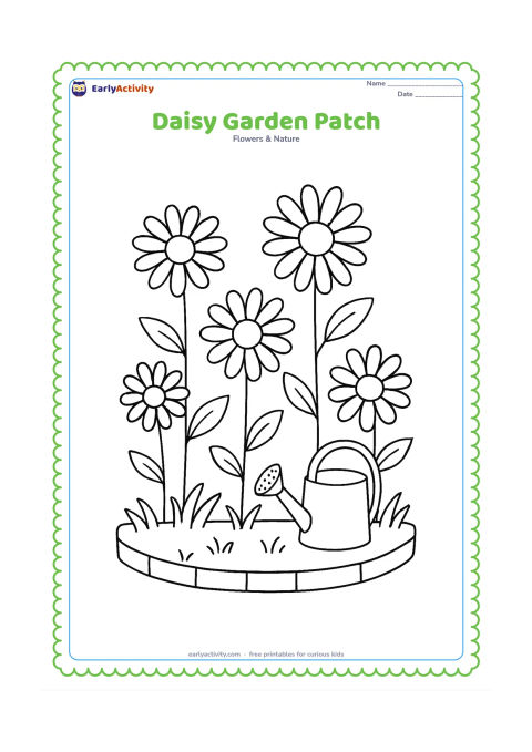 Colouring page: Draw several daisies at different heights in a small garden bed, with leaves, grass, a low edging border and a watering can nearby. Include open areas between the flowers.
