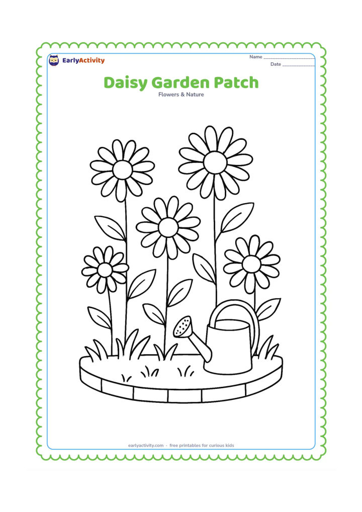 Colouring page: Draw several daisies at different heights in a small garden bed, with leaves, grass, a low edging border and a watering can nearby. Include open areas between the flowers.